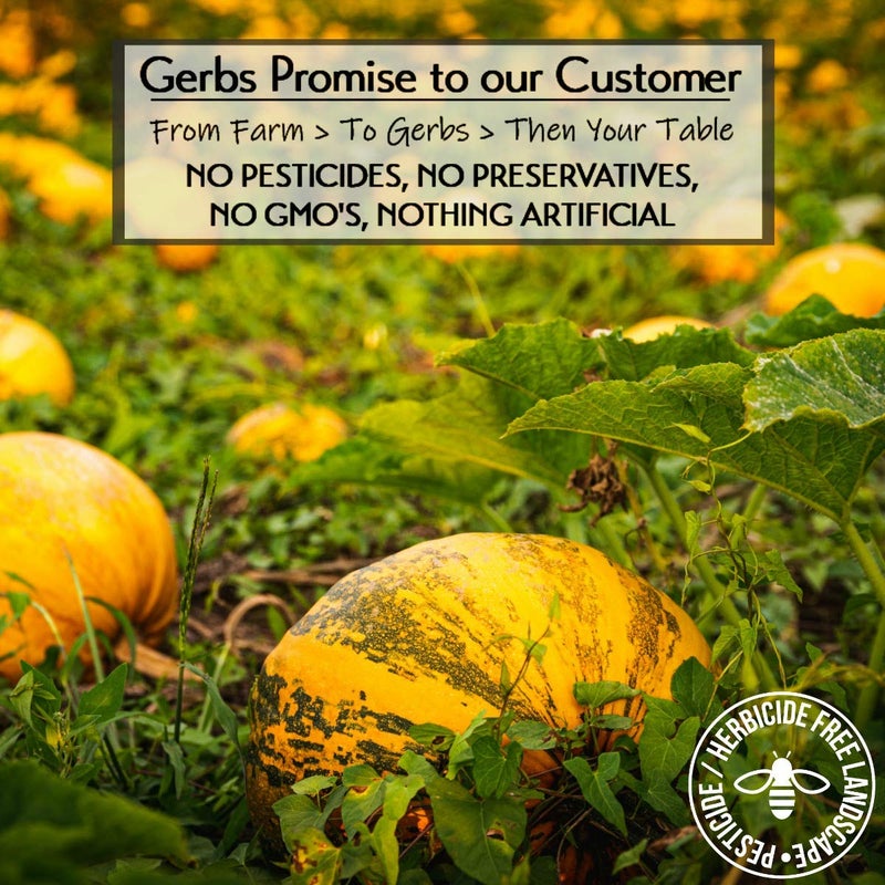 GERBS Jumbo Sized Lightly Sea Salted Pumpkin Seeds in Shell by Gerbs - 2 LBS - Top 11 Food Allergen Free & Non GMO - Premium Giant Size Whole Roasted Pepitas - COG USA - Image 2